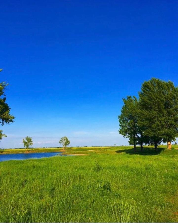 Toparti Kucko *
