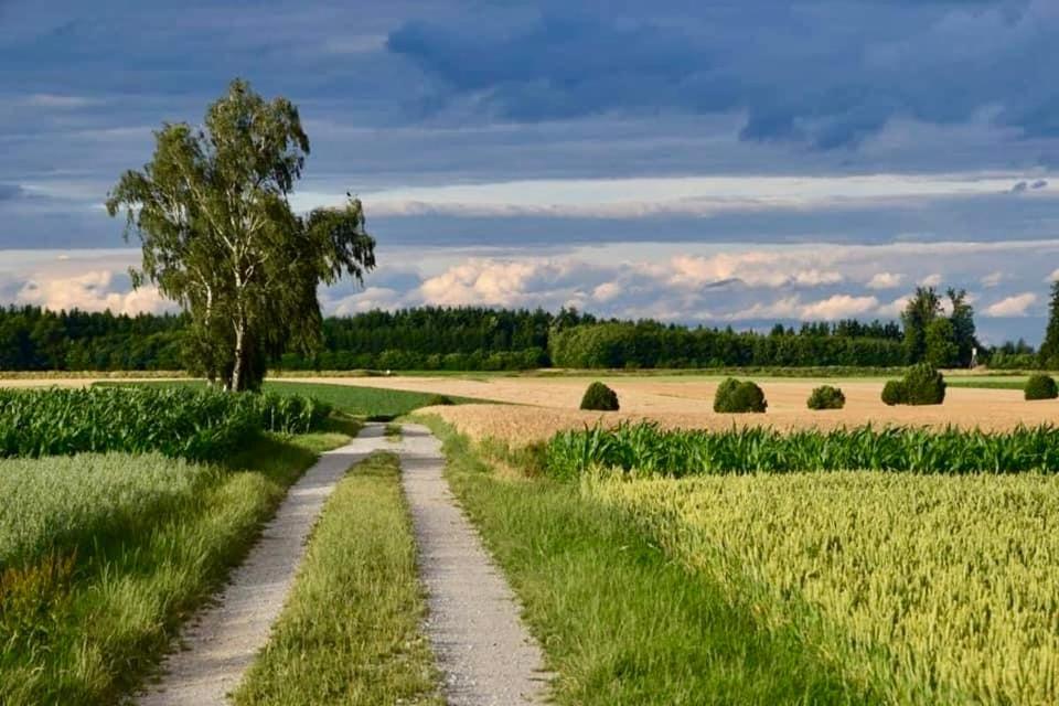 Hébergement de vacances Toparti Kucko Malyi
