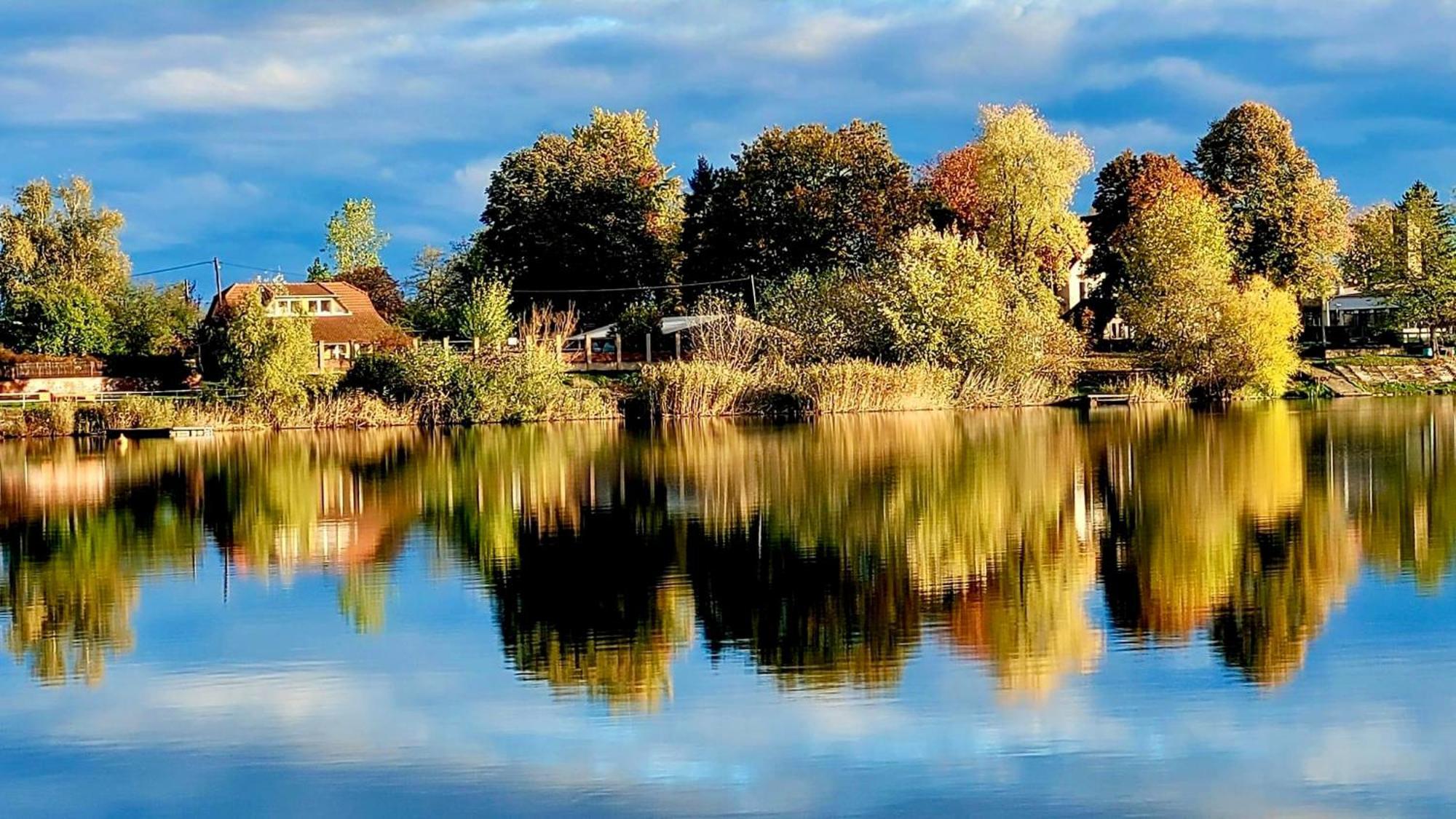 Toparti Kucko